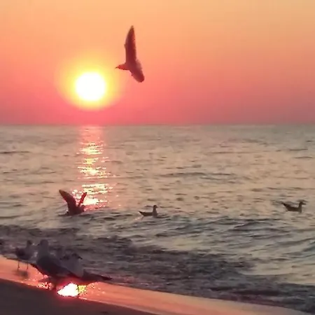 Maki - 6 Osobowe - Akceptujemy Psiaki Lodge