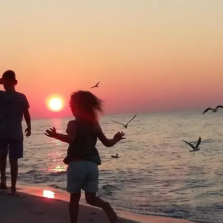 Maki - 6 Osobowe - Akceptujemy Psiaki