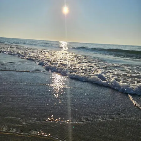 Lodge Maki - 6 Osobowe - Akceptujemy Psiaki