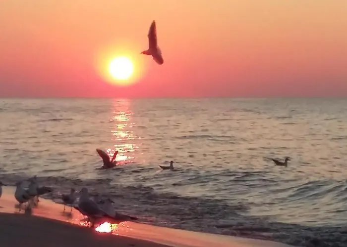 Maki - 6 Osobowe - Akceptujemy Psiaki Деревянный коттедж