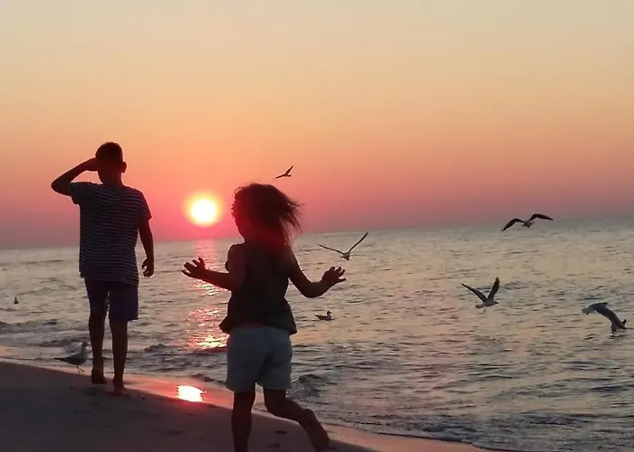 Maki - 6 Osobowe - Akceptujemy Psiaki